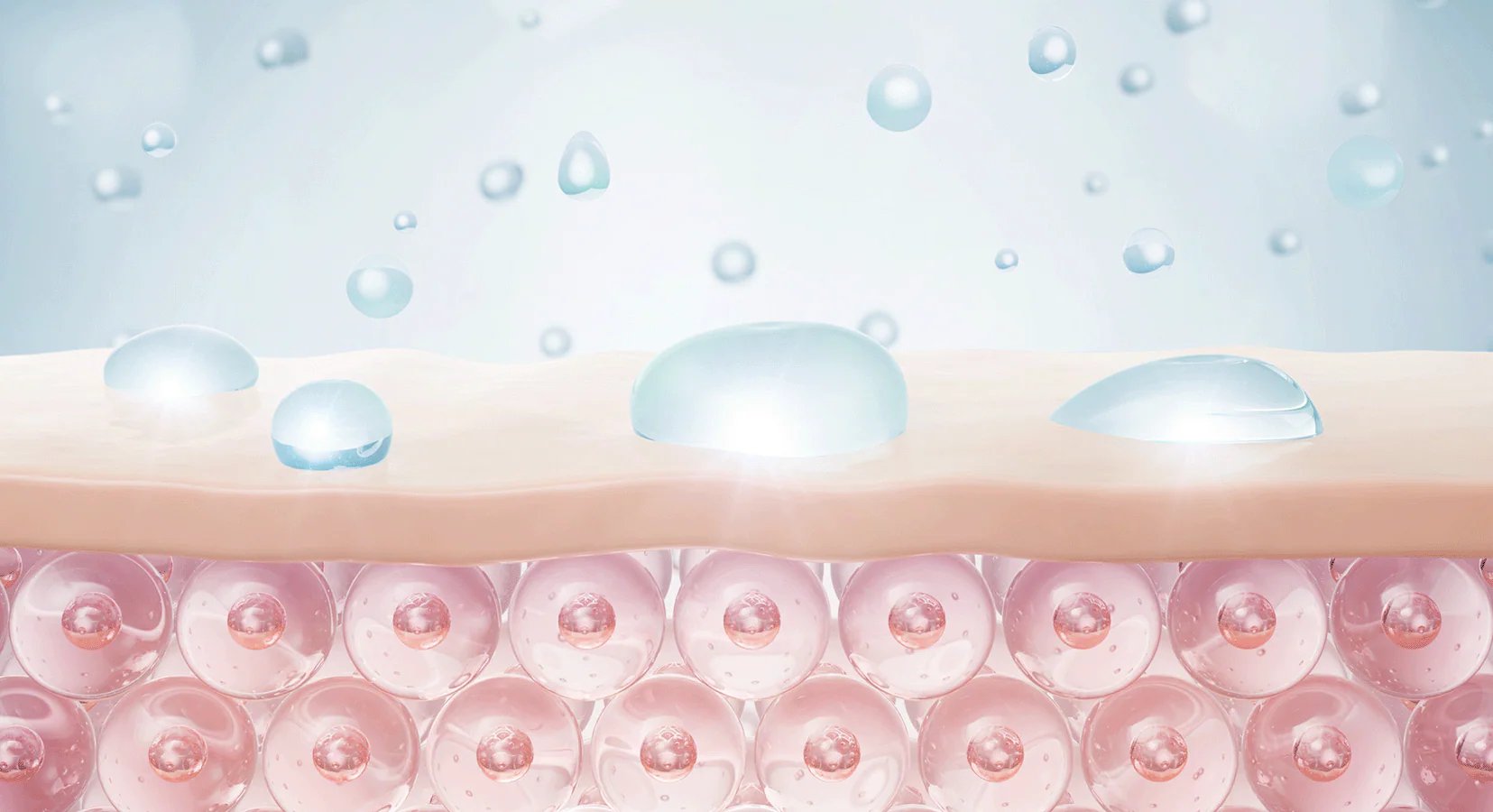 skin barrier polynucleotides